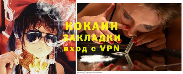 стафф Осташков