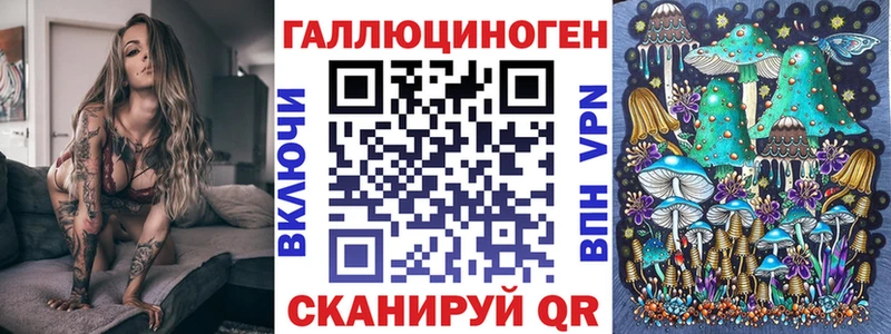 Псилоцибиновые грибы Psilocybine cubensis купить сайты Борзя